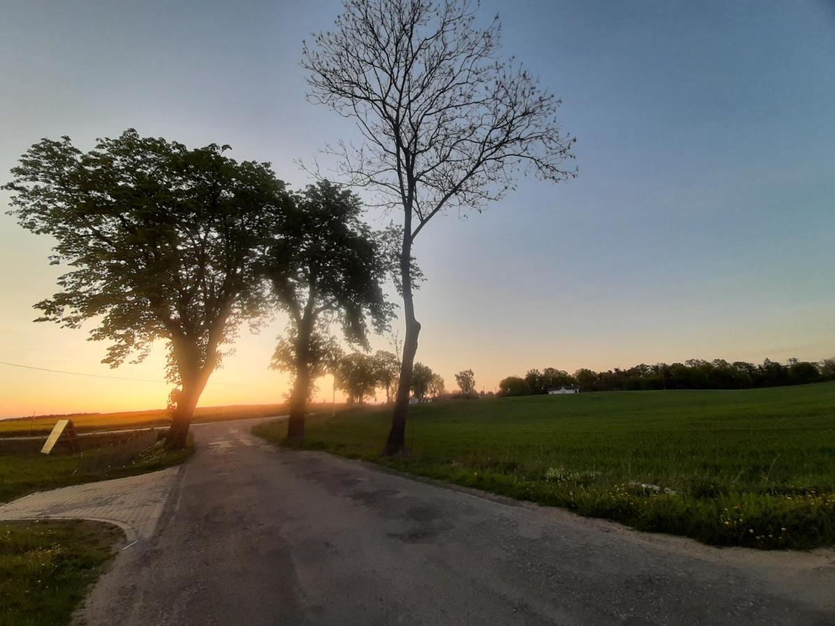 Noclegi Zdzislaw Sieradzki Zbiczno ภายนอก รูปภาพ