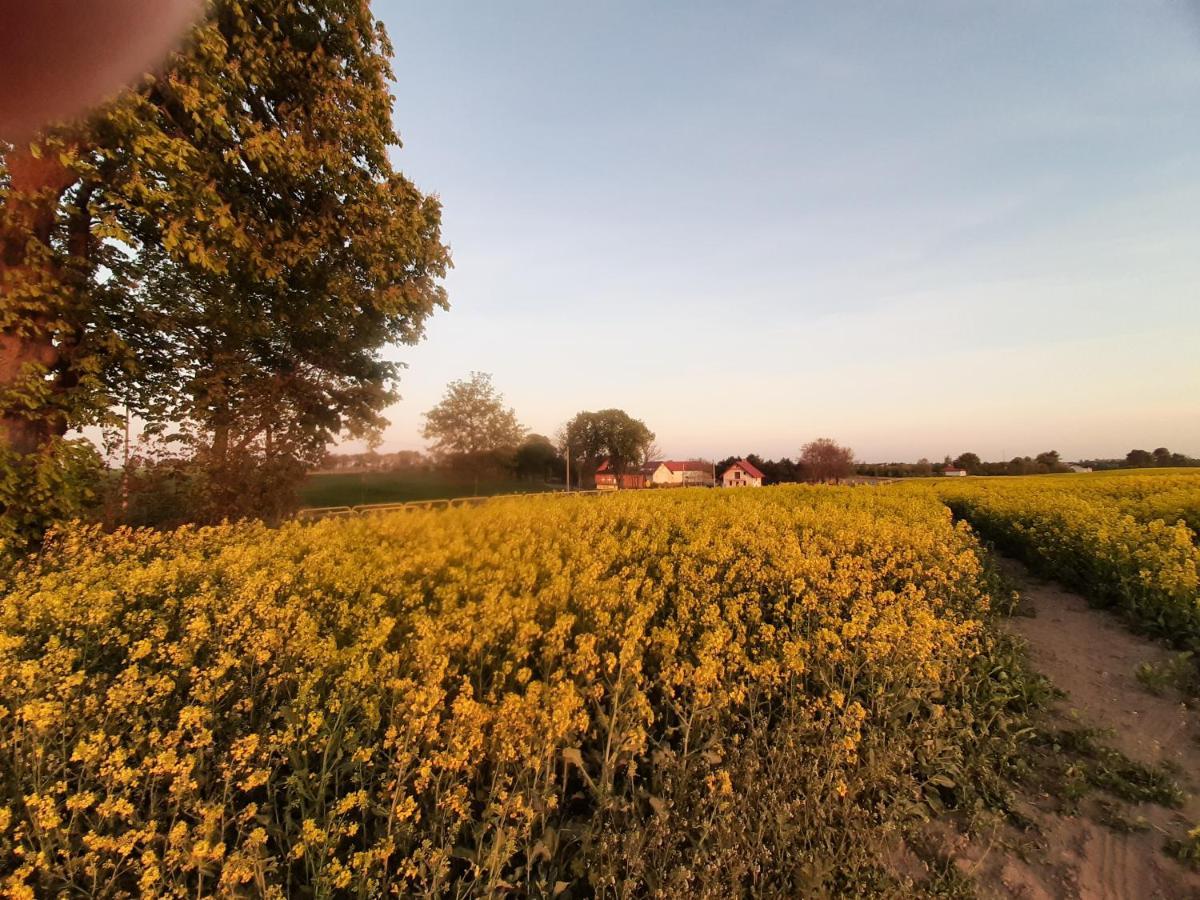 Noclegi Zdzislaw Sieradzki Zbiczno ภายนอก รูปภาพ