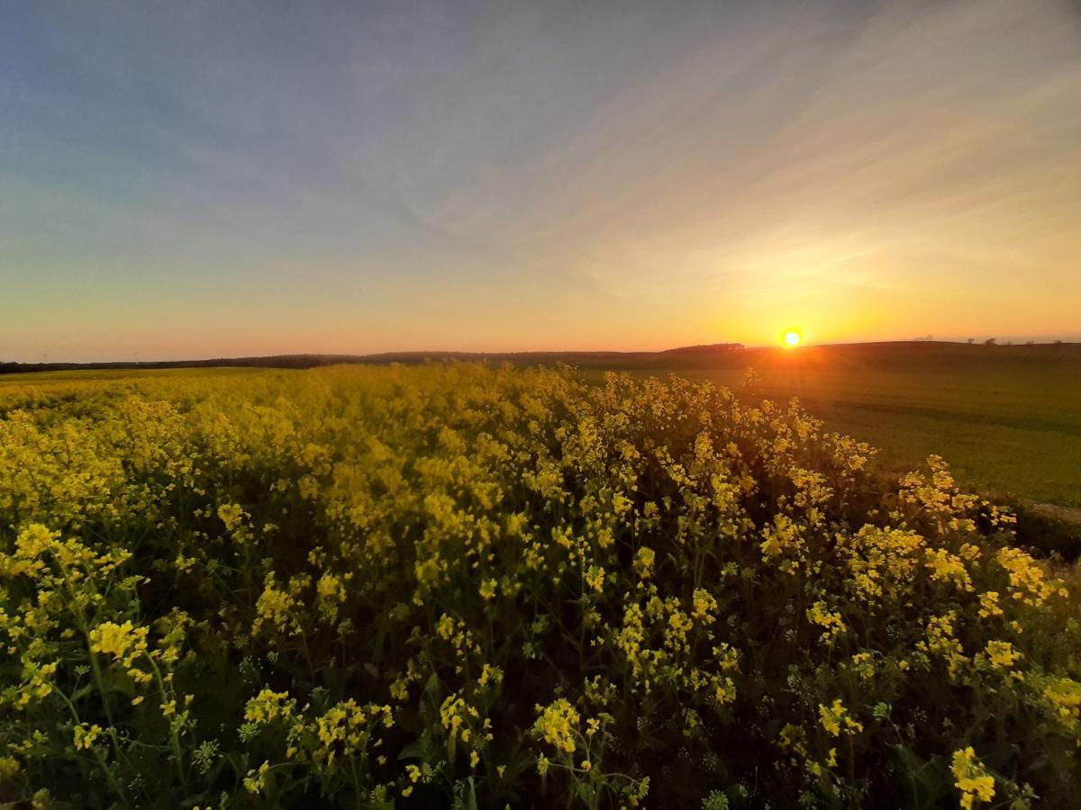 Noclegi Zdzislaw Sieradzki Zbiczno ภายนอก รูปภาพ