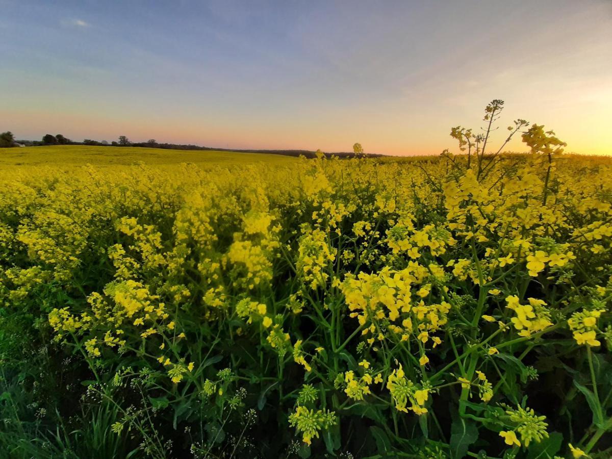 Noclegi Zdzislaw Sieradzki Zbiczno ภายนอก รูปภาพ