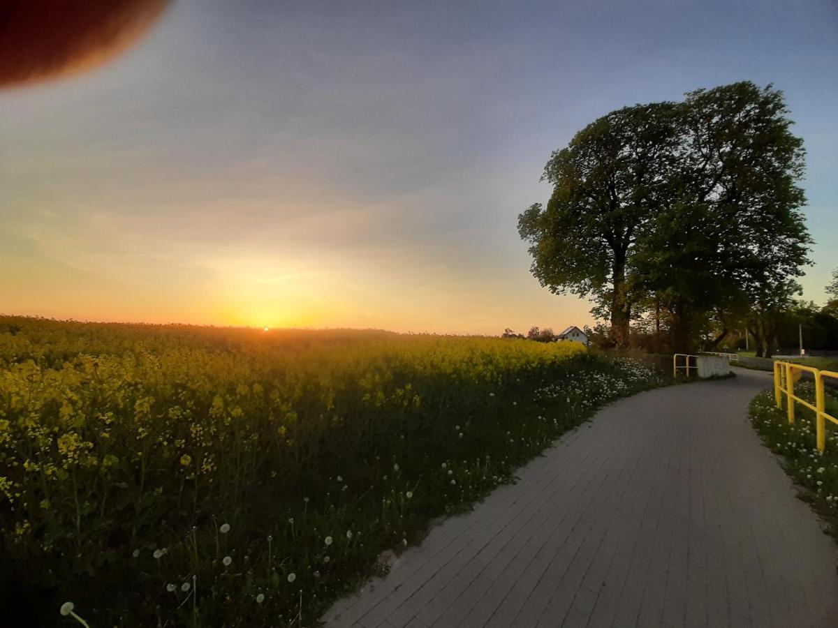 Noclegi Zdzislaw Sieradzki Zbiczno ภายนอก รูปภาพ