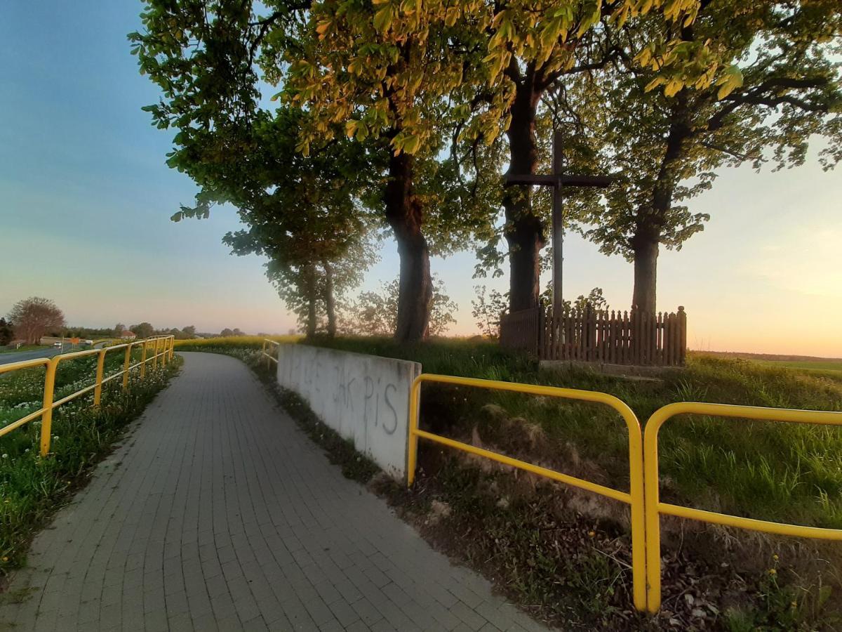 Noclegi Zdzislaw Sieradzki Zbiczno ภายนอก รูปภาพ