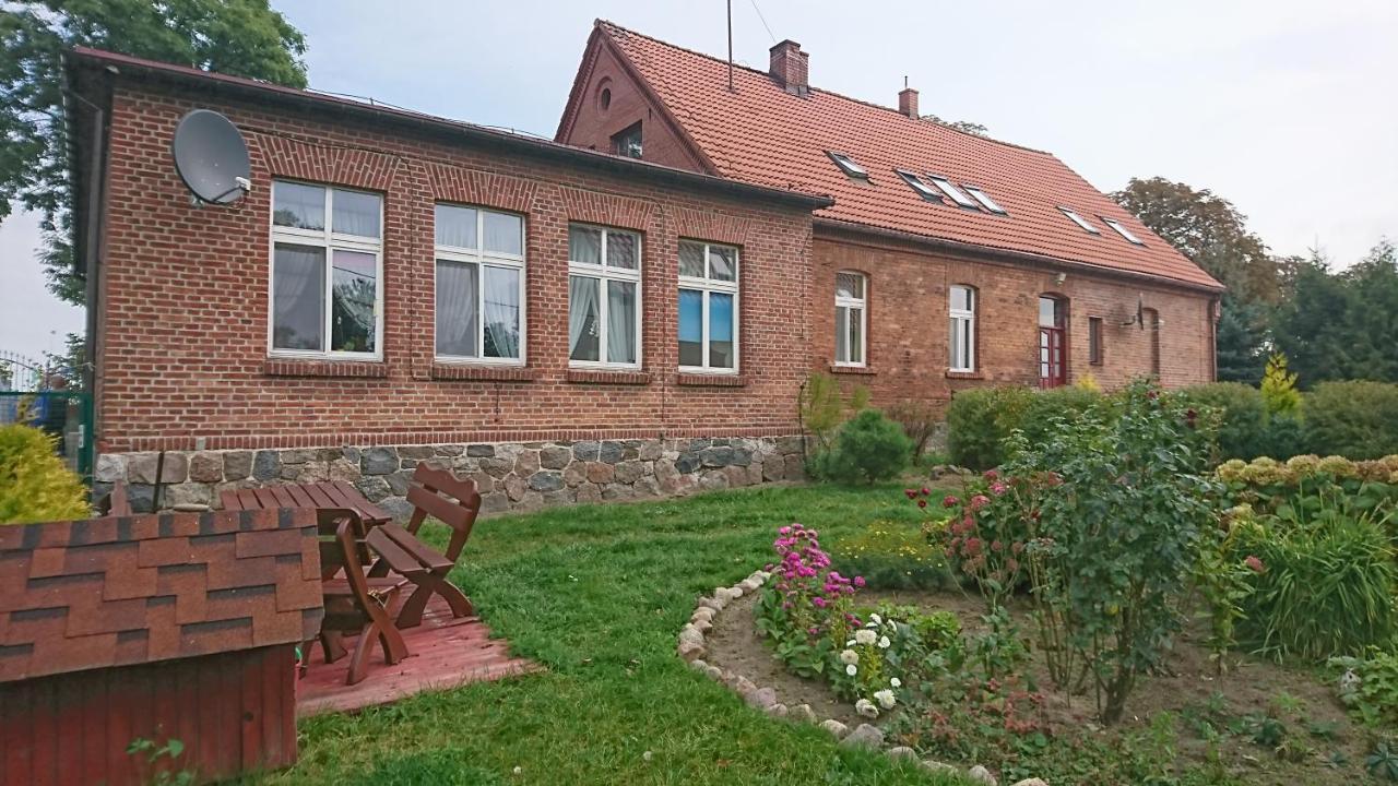 Noclegi Zdzislaw Sieradzki Zbiczno ภายนอก รูปภาพ