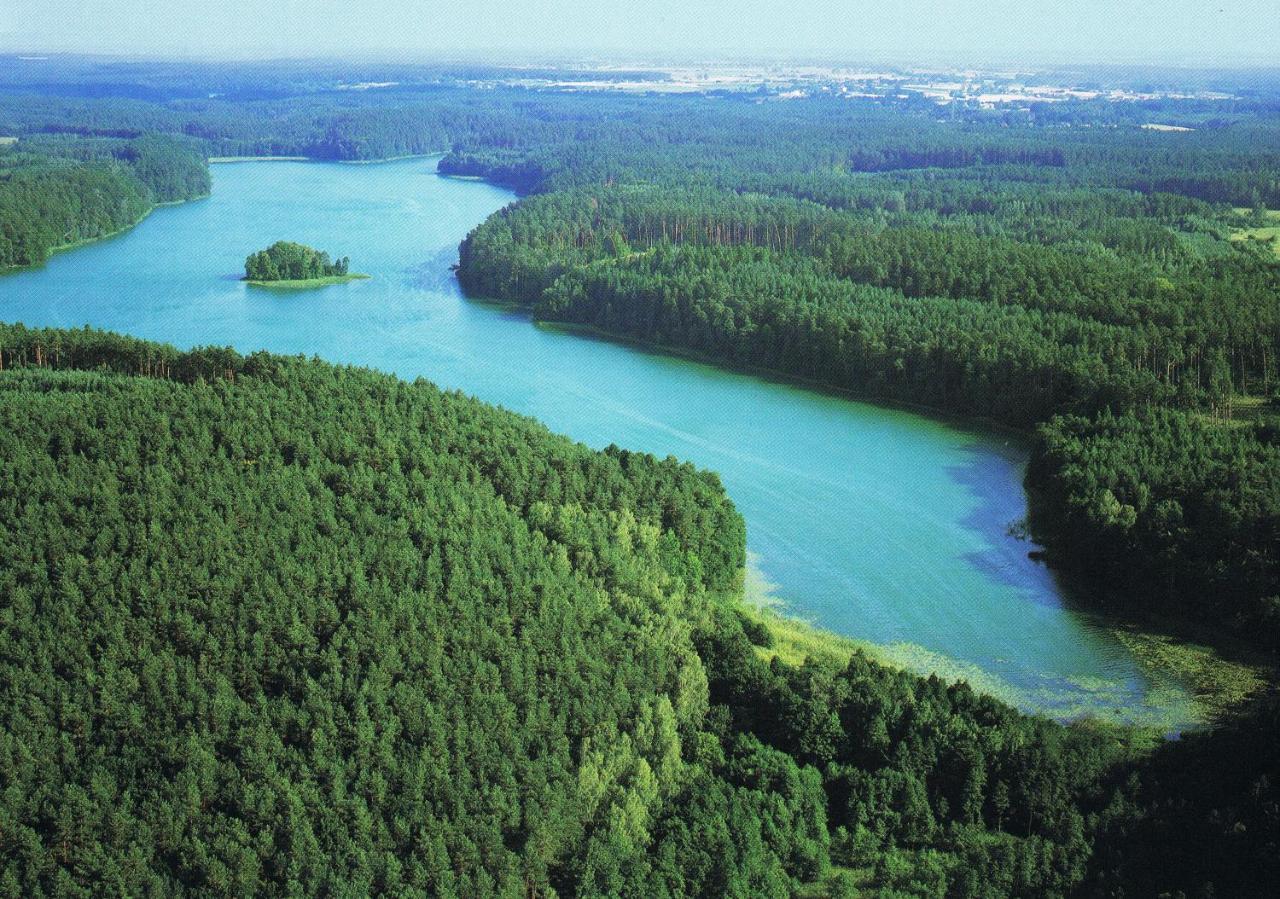 Noclegi Zdzislaw Sieradzki Zbiczno ภายนอก รูปภาพ