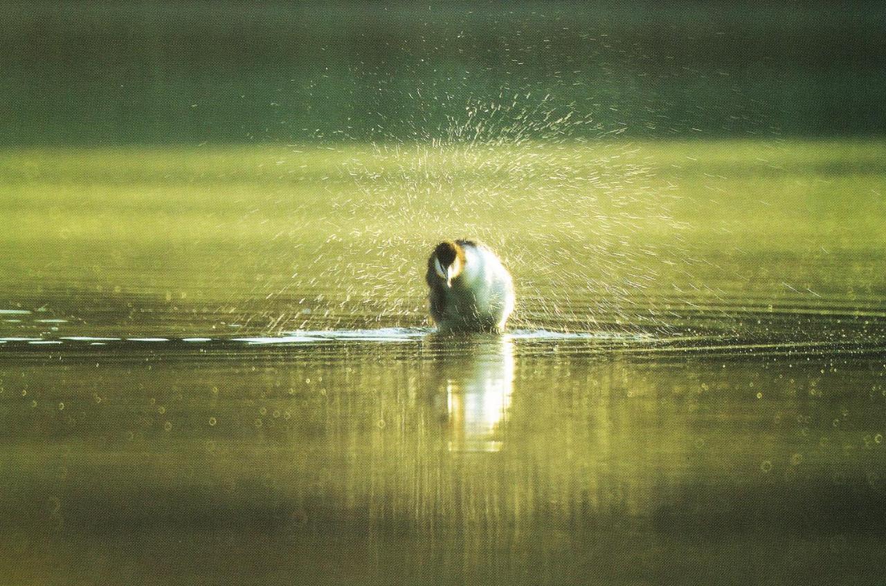 Noclegi Zdzislaw Sieradzki Zbiczno ภายนอก รูปภาพ