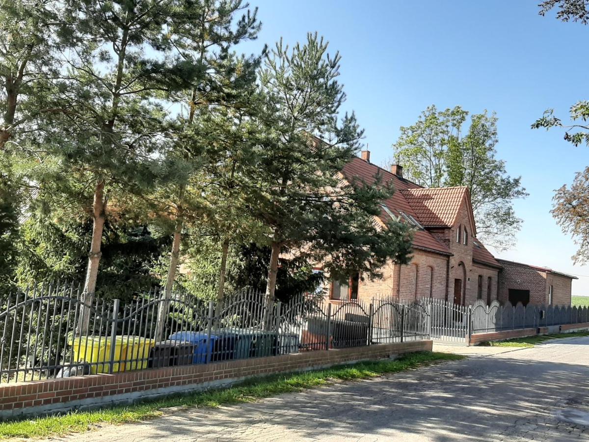 Noclegi Zdzislaw Sieradzki Zbiczno ภายนอก รูปภาพ