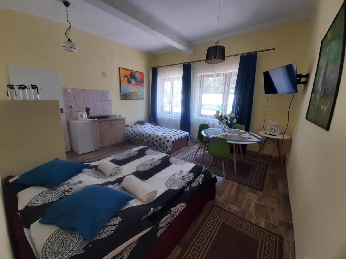 Noclegi Zdzislaw Sieradzki Zbiczno ภายนอก รูปภาพ